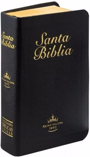 biblia reina valera 1960 free download pdf